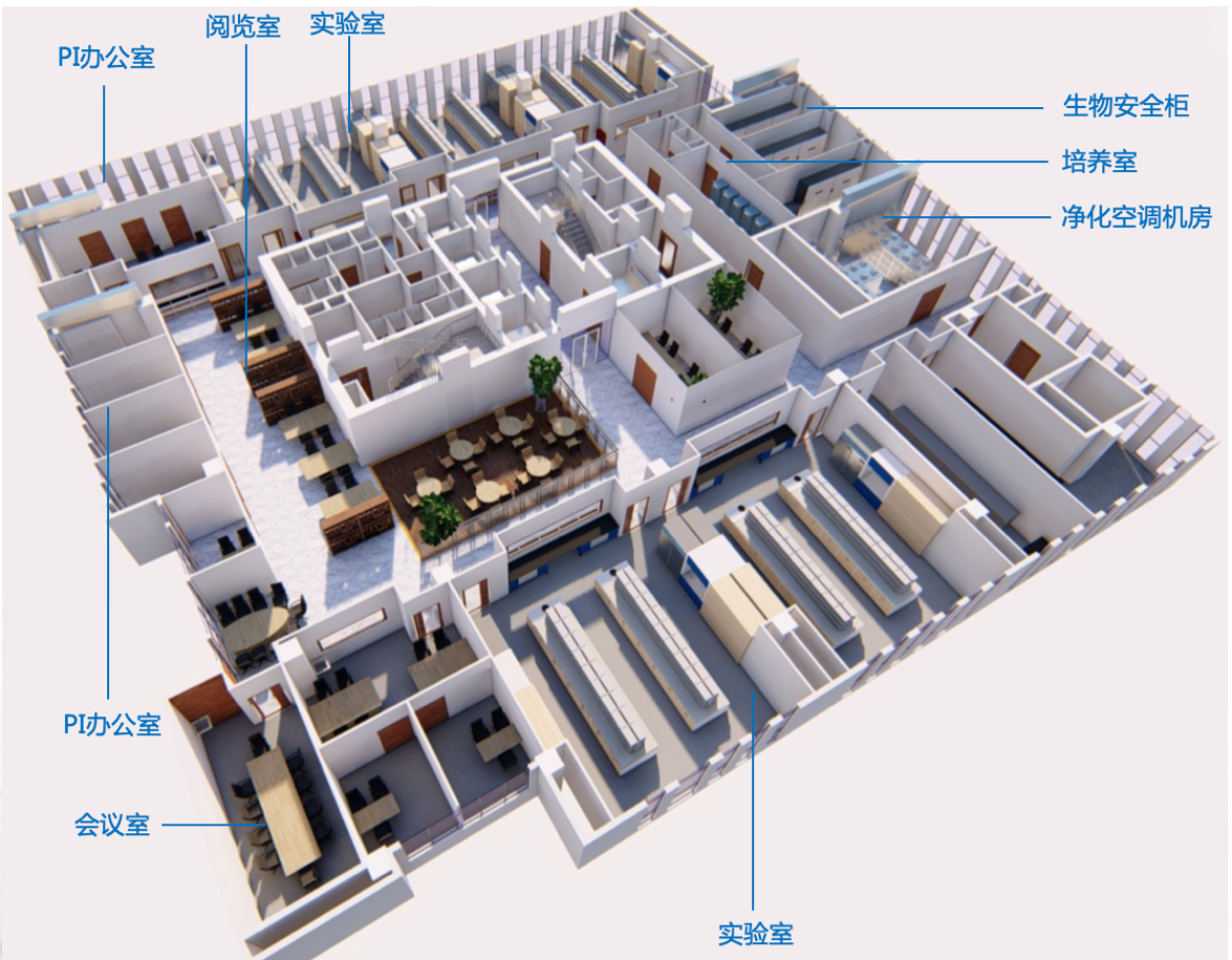 BIM大赛获奖案例—上海交通大学医学院附属仁济医院科研综合楼暨上海市肿瘤研究所整体迁建工程